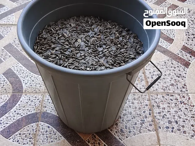 حب طيور للبيع