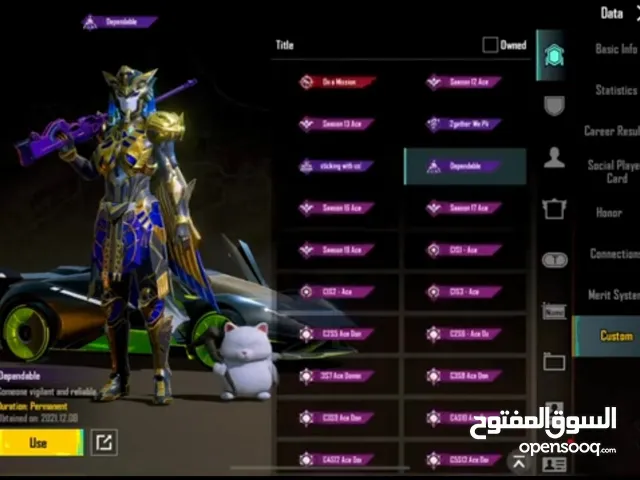 Pubg Accounts and Characters for Sale in Baghdad