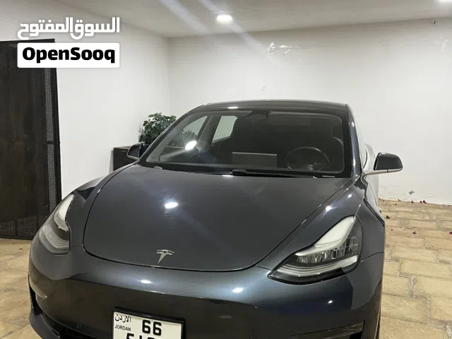 2020 تيسلا موديل 3 Standard Plus