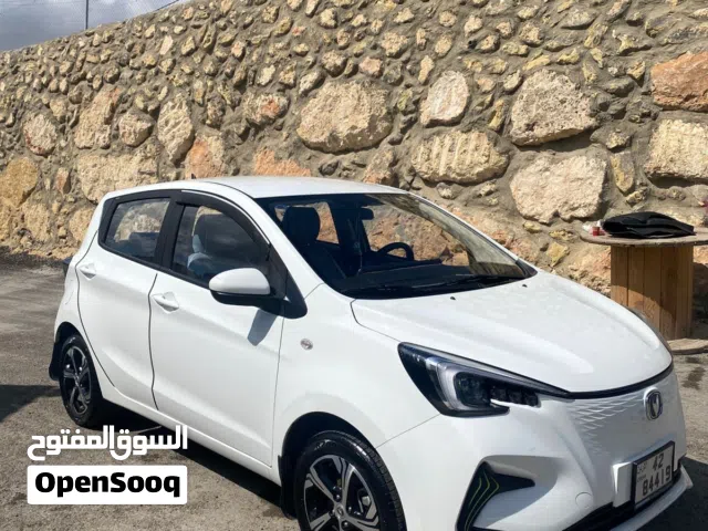 2022 Changan E-Star