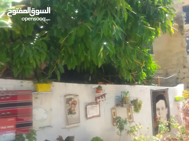 دار للايجار