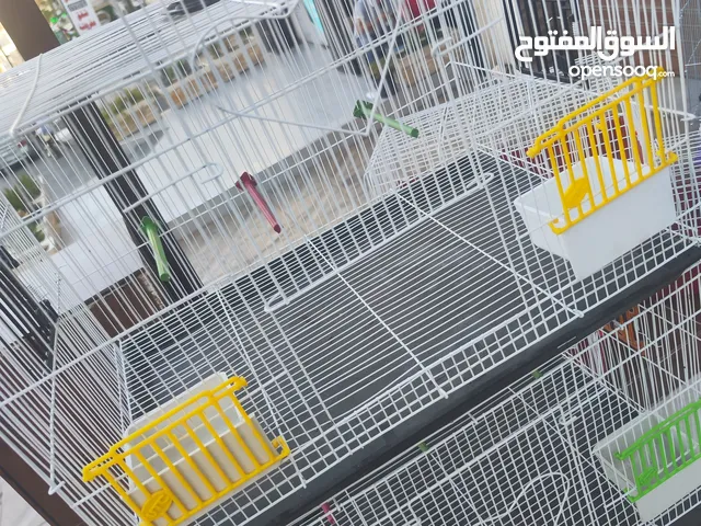 مطير طيور حجم كبير يتسع الى جوز وافراخ ، او عدد كبير من الطيور
