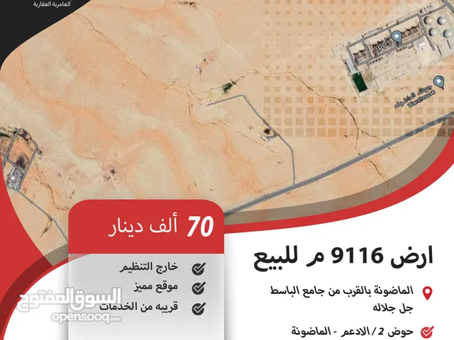 ارض 9116 م للبيع في الماضونة / بالقرب من جامع الباسط جل جلاله