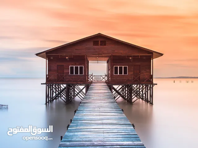 دورات خاصة عن بعد او بمنزل الطالب لغات و ترجمة افلام و برامج يوتيوب التعليمية و معمل إستماع للممارسة