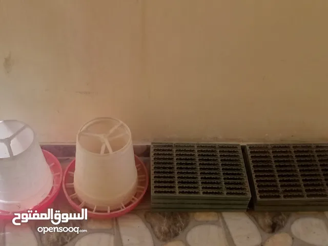 بياضات دجاج ومعالف ومشارب  واقفاص طابقين  للفري وطباق  بيض فري للفقاسات ايطالي للبيع بحاله ممتازه