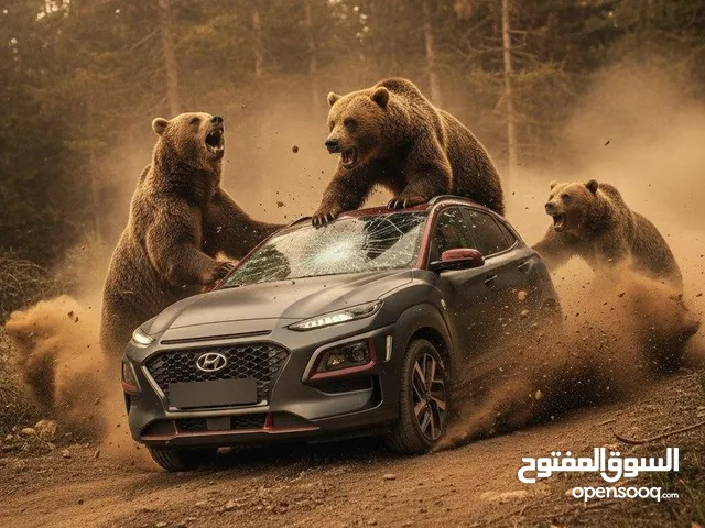 هيونداي كونا ايرون مان 2019 فل الفل  رمادي مطفي  20 ألف كم  - فحص ممتاز