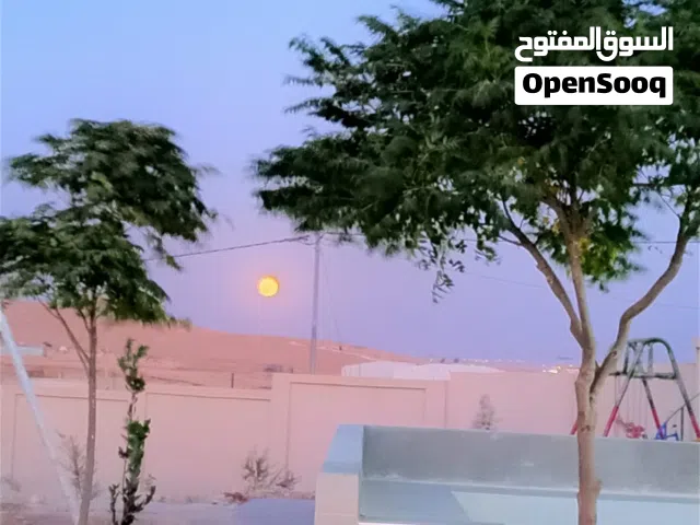 مزرعة للبيع في اجمل مناطق بلعما الزيتونة