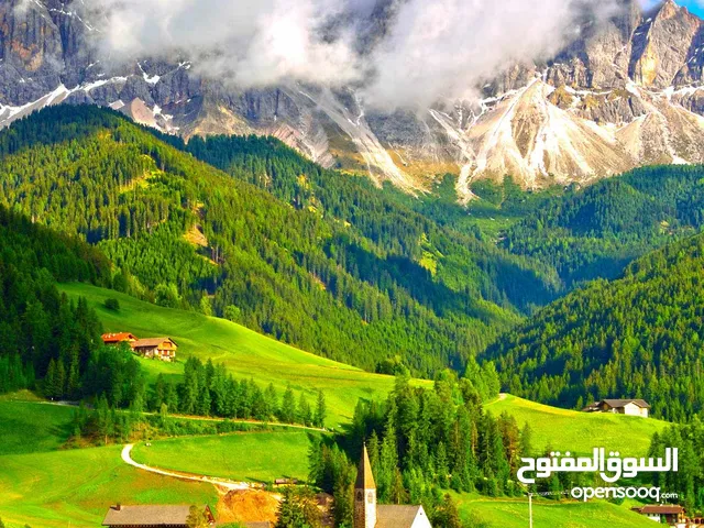 أرض للبيع في شفا بدران حوض أم شطيرات مميزة جداً وقريبة على شارع الأردن