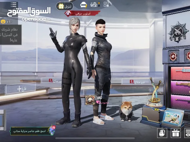 Pubg Accounts and Characters for Sale in Northern Governorate