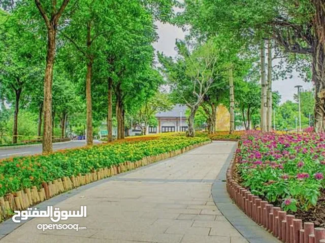 تنظيف حدائق اقرا اعلان