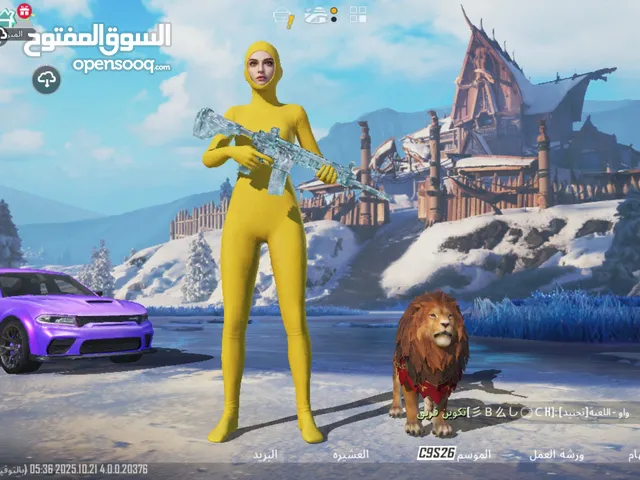 Pubg Accounts and Characters for Sale in Karbala