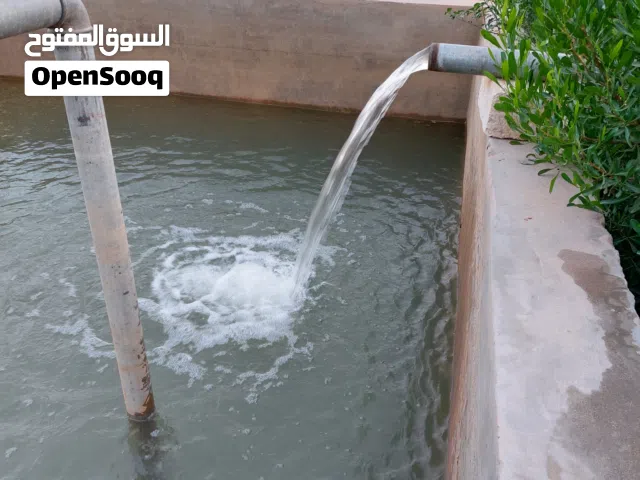 مزرعة هكتار ونص جنوب الزاويه