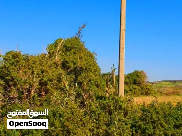 أرض للبيع في إقليم الجديدة  سيدي عابد  موقع ممتاز  قريب على البحر، قريب على الشارع العام ،مساحة 1100