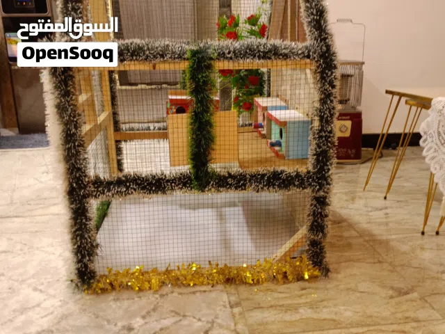 السلام عليكم خوان قفص للبيع حلو ومرتب مستخدم قليل جدان چان بي بس طيرين