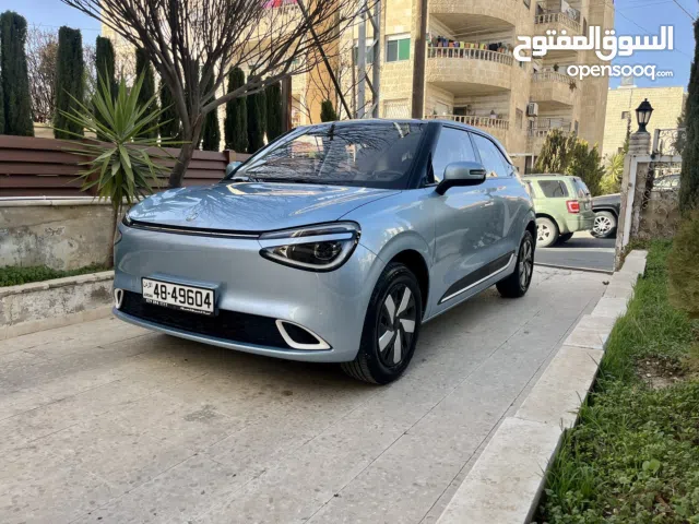 2024, Dongfeng, Nammi Box