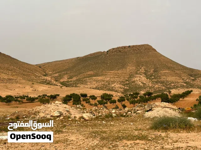 قطعة ارض للبيع وادي الربيع