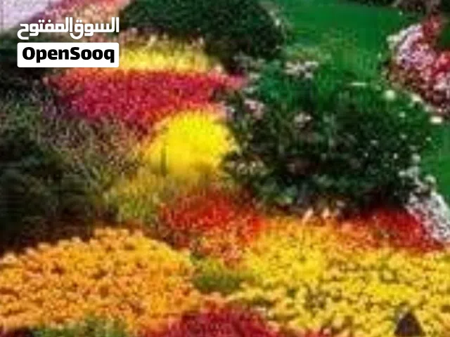 أرض وجهتين الواجها 27 والعمق 20 مقسم جميل اخر قطعه في المقسم كله فيلات عين زارة الحمودات