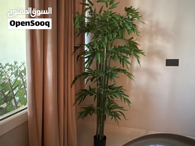 350 m2 4 Bedrooms Townhouse for Rent in Dhofar Salala