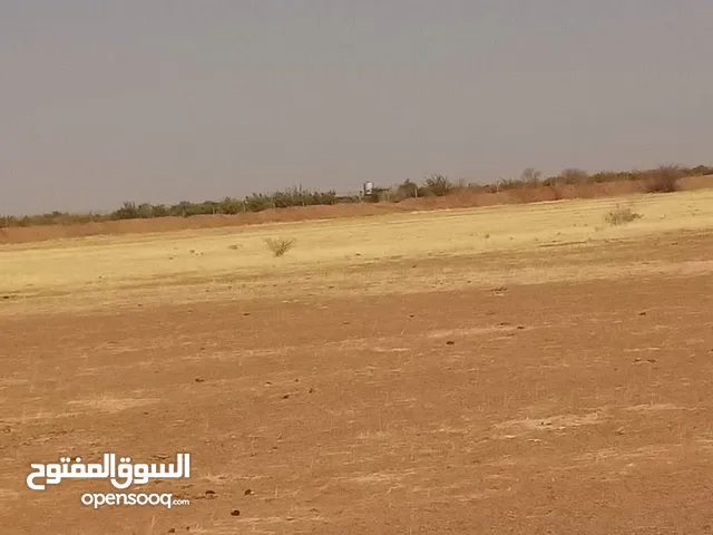 Farm Land for Sale in Khartoum Omdurman
