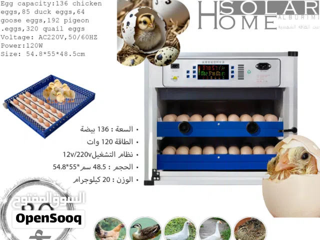 فقاسة بيض اتوماتيك