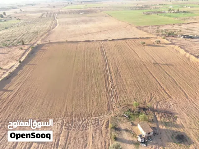 Farm Land for Sale in Jumayl Other