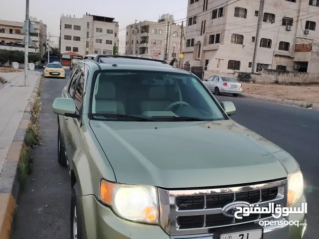 Used Ford Escape in Amman