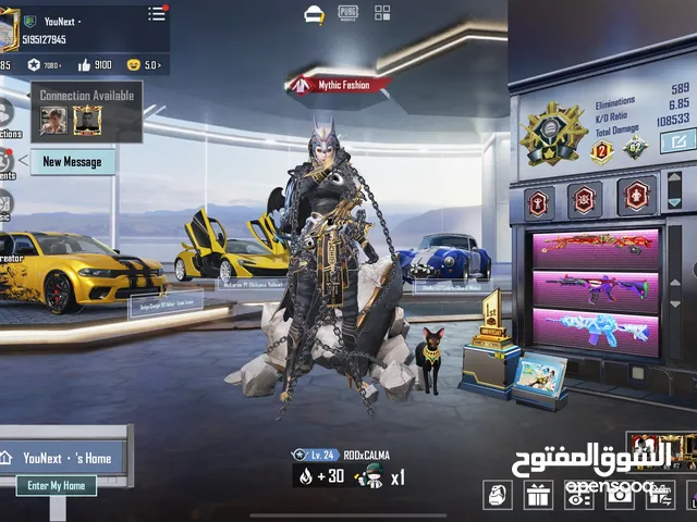 Pubg Accounts and Characters for Sale in Irbid