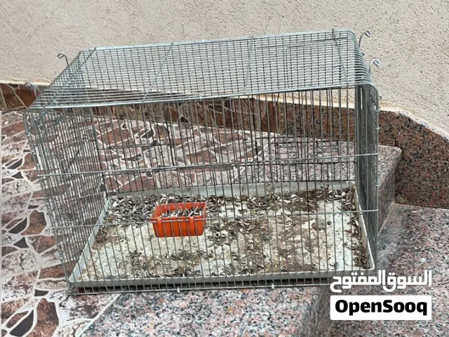 أقفاص عصافير كبيرة البيع مع بعض بي 80 دينار