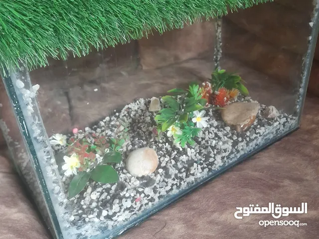 حوض سمك للبيع