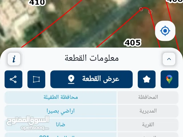 Residential Land for Sale in Tafila Al-Qadisiyyah