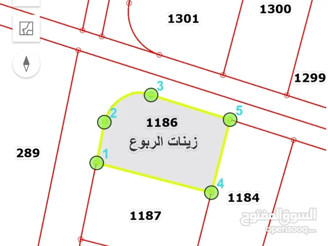 Residential Land for Sale in Amman Zinat Al-Rubue