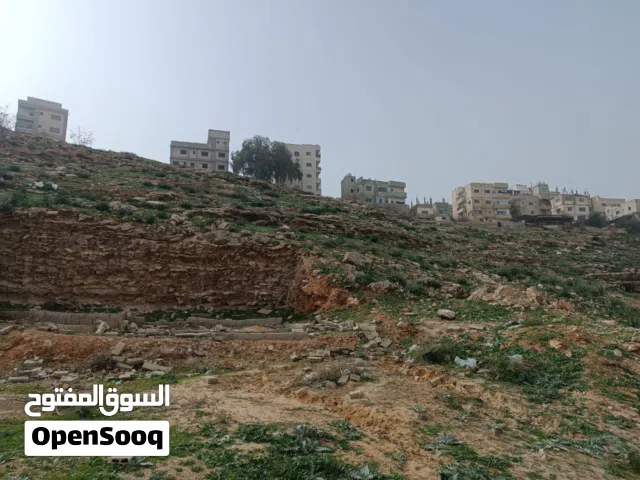 Residential Land for Sale in Amman Tabarboor