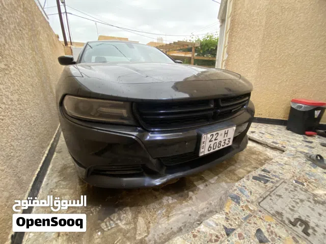 جارجر امريكي نضيفه