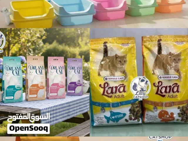 عروض التحرير لعيون القطاقيط