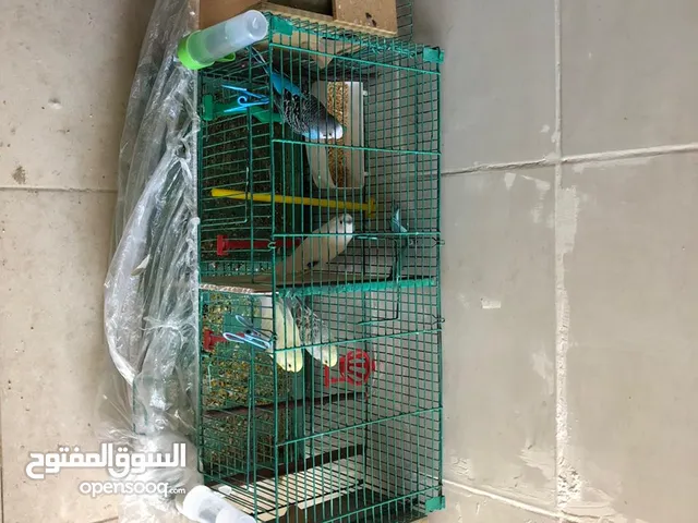 جوزين طيور حب مع قفص قابل لا التقسيم و كوخين