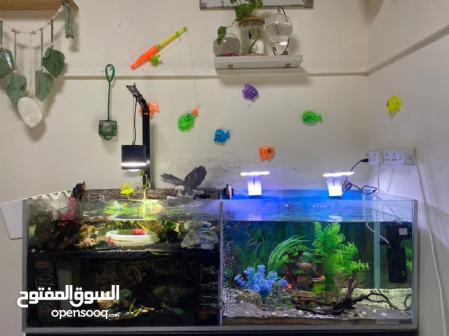 Aquarium with Full Accessories and fish