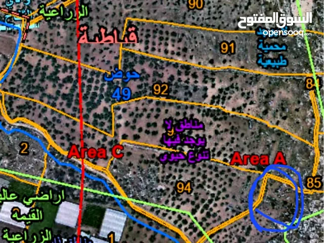 Farm Land for Sale in Jenin Qabatiya