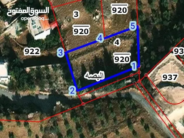 قطعتين ارض متلاصقات للبيع في منطقة ابو السوس