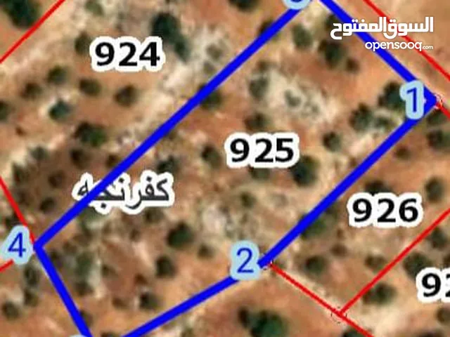 قطعة أرض للبيع في عجلون من اراضي كفرنجه موقع مميز جدا اطلاله جميلة داخل التنظيم مزروعة زيتون