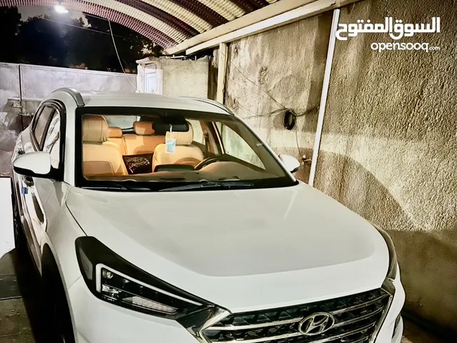 توكسان ابيض وكالة الكاصد رقم بغداد ماشية 48 قابل للزيادة مشروع وطني