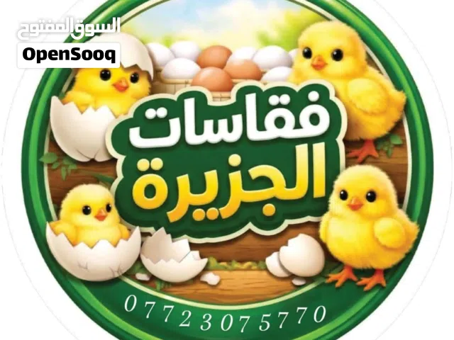 فقاسات الجزيرة