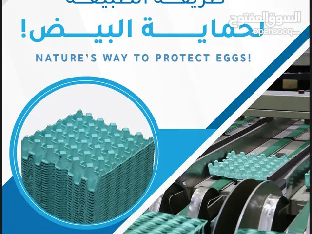 اطباق بيض كرتونية  عرض خاص الطبق ب 25 بيسة  Special offer 25 baiza/tray Carton Egg Trays