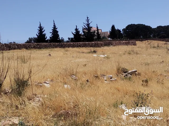 Residential Land for Sale in Salt Al Balqa'