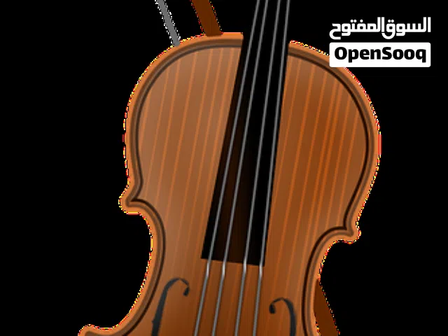 Violin New