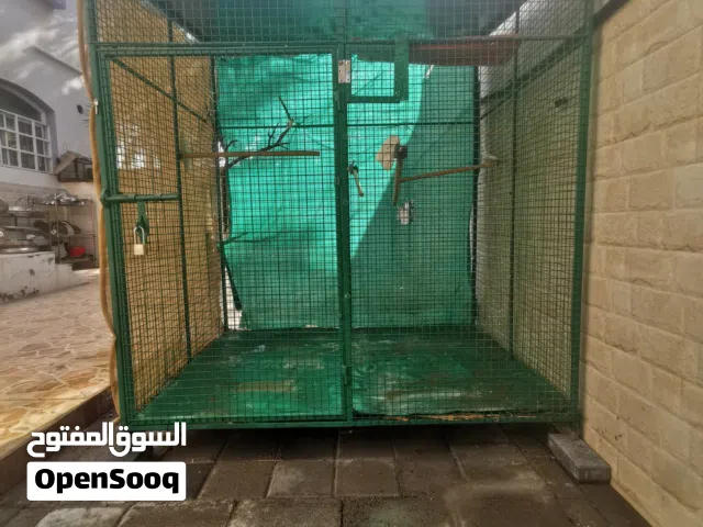 قفص بغبغاء بحالة ممتازة