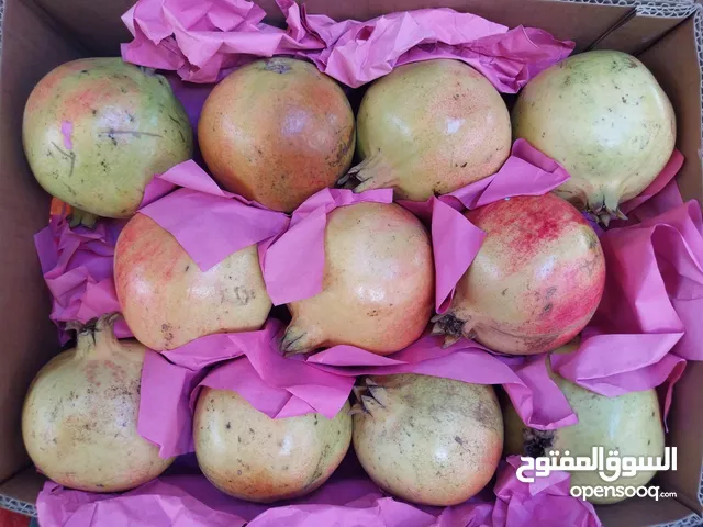 KSA JEDDAH Central Market wholesale