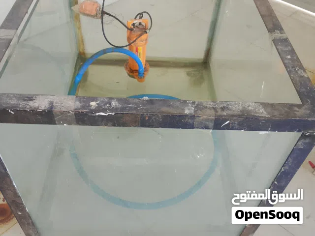 غراض سمج للبيع