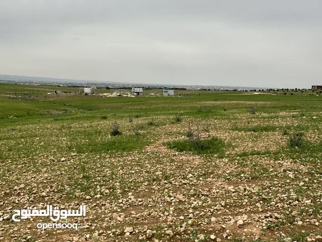 Farm Land for Sale in Irbid Other