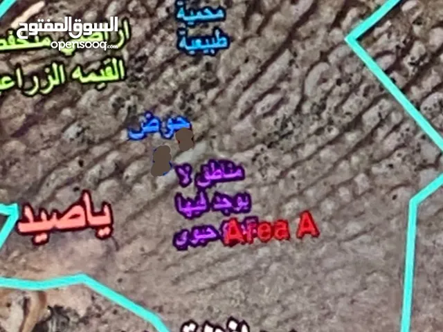 فرصة استثمارية ، أرض