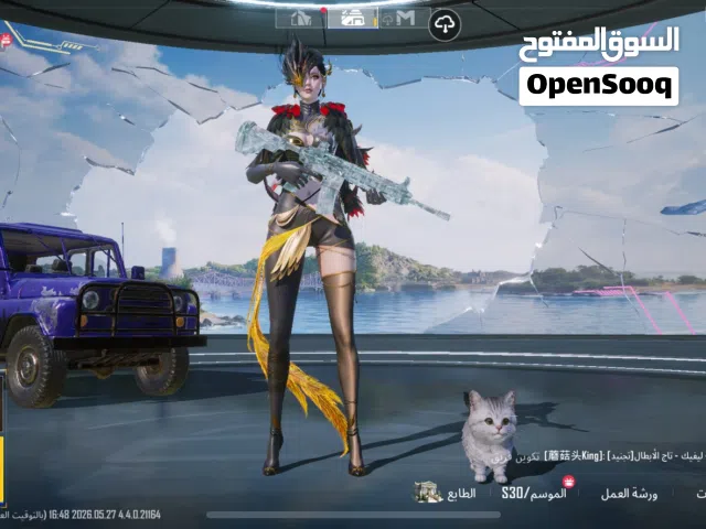 Pubg Accounts and Characters for Sale in Ibb